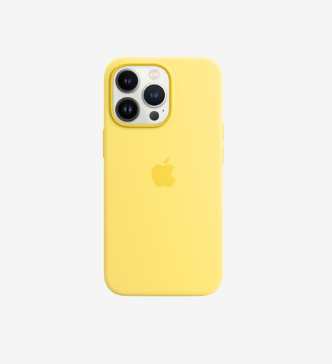 Apple Iphone 13 Case